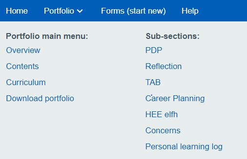 The portfolio navigation menu for a foundation doctor